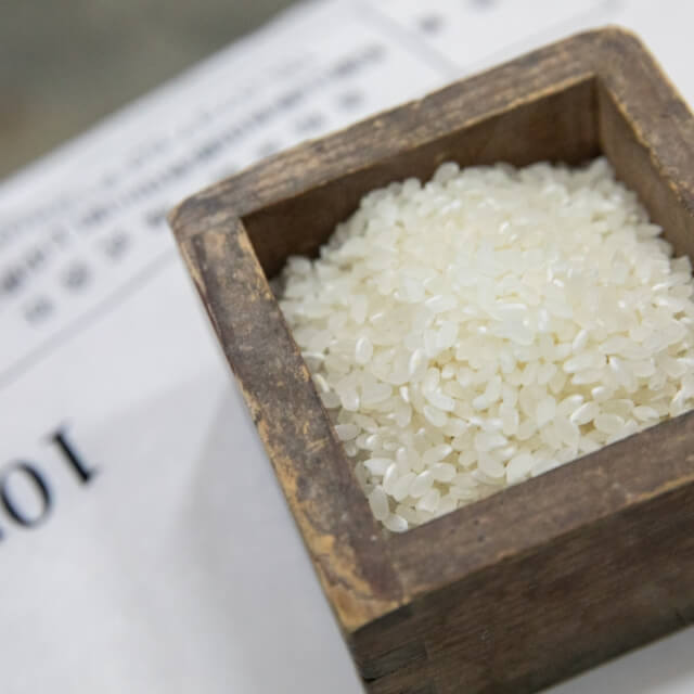 採用情報